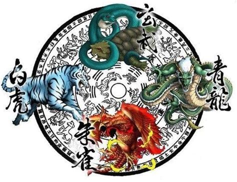 後玄武|四大神獸(四神獸):起源,青龍,來歷,地名,年號,區別,白虎,來歷,象徵,。